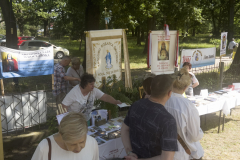 Zdjęcie 13