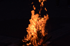 Zdjęcie 19