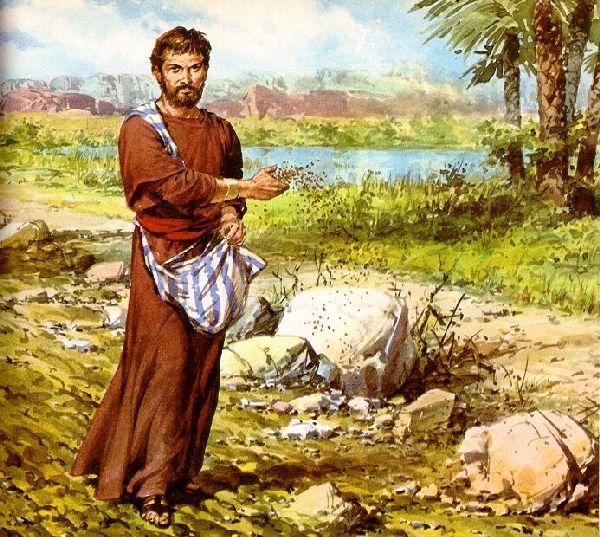 15 niedziela zwykła – „Przypowieść o siewcy”
